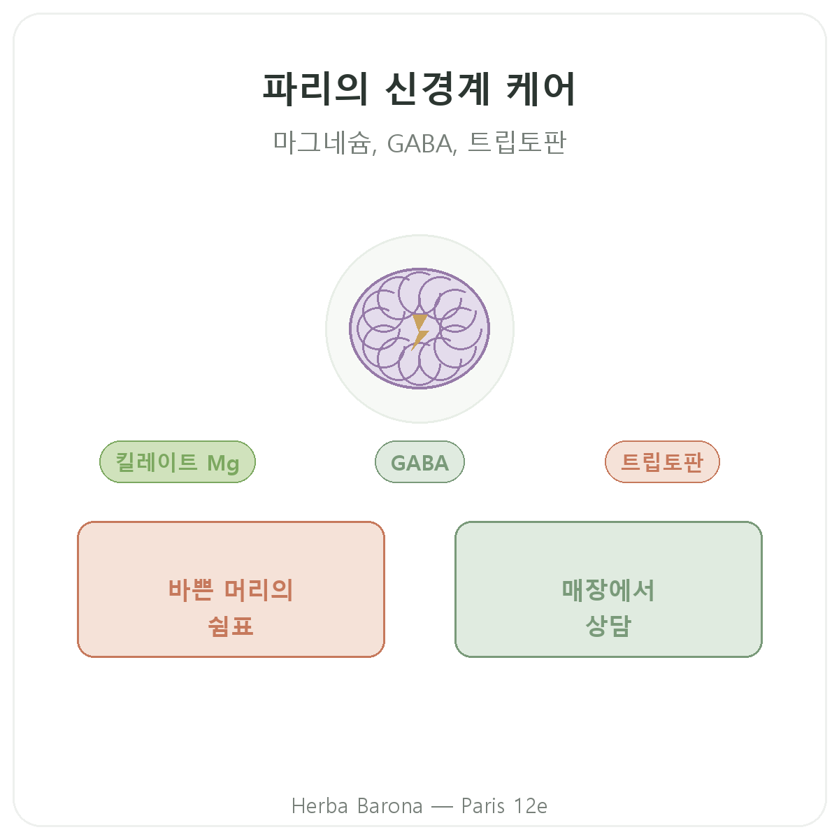 파리 신경계 영양제 - Herba Barona 파리 12구