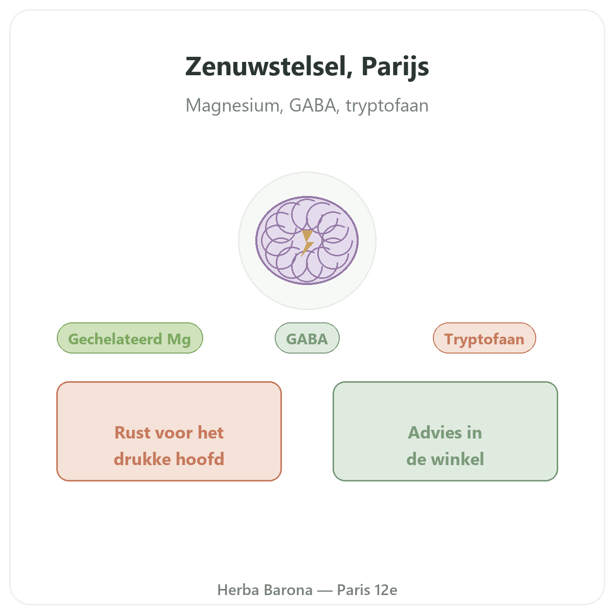 Supplementen voor het zenuwstelsel in Parijs - bij Herba Barona Parijs
