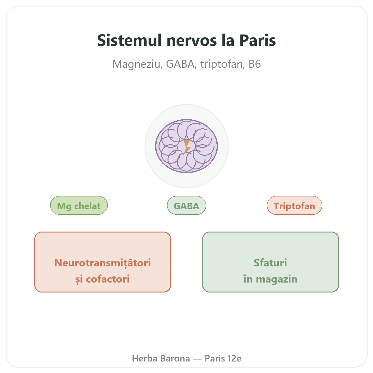 Suplimente pentru sistemul nervos la Paris - la Herba Barona, Paris, arondismentul 12
