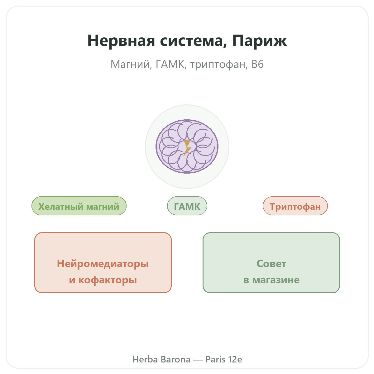 Добавки для нервной системы в Париже - в магазине Herba Barona Париж, 12-й округ