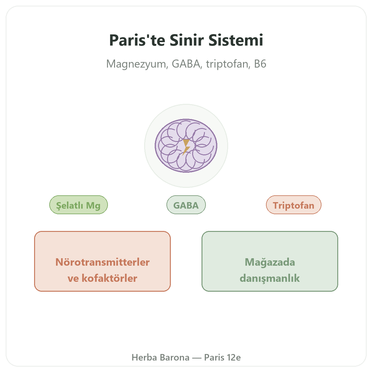 Paris’te sinir sistemi takviyeleri - Herba Barona Paris 12e’de