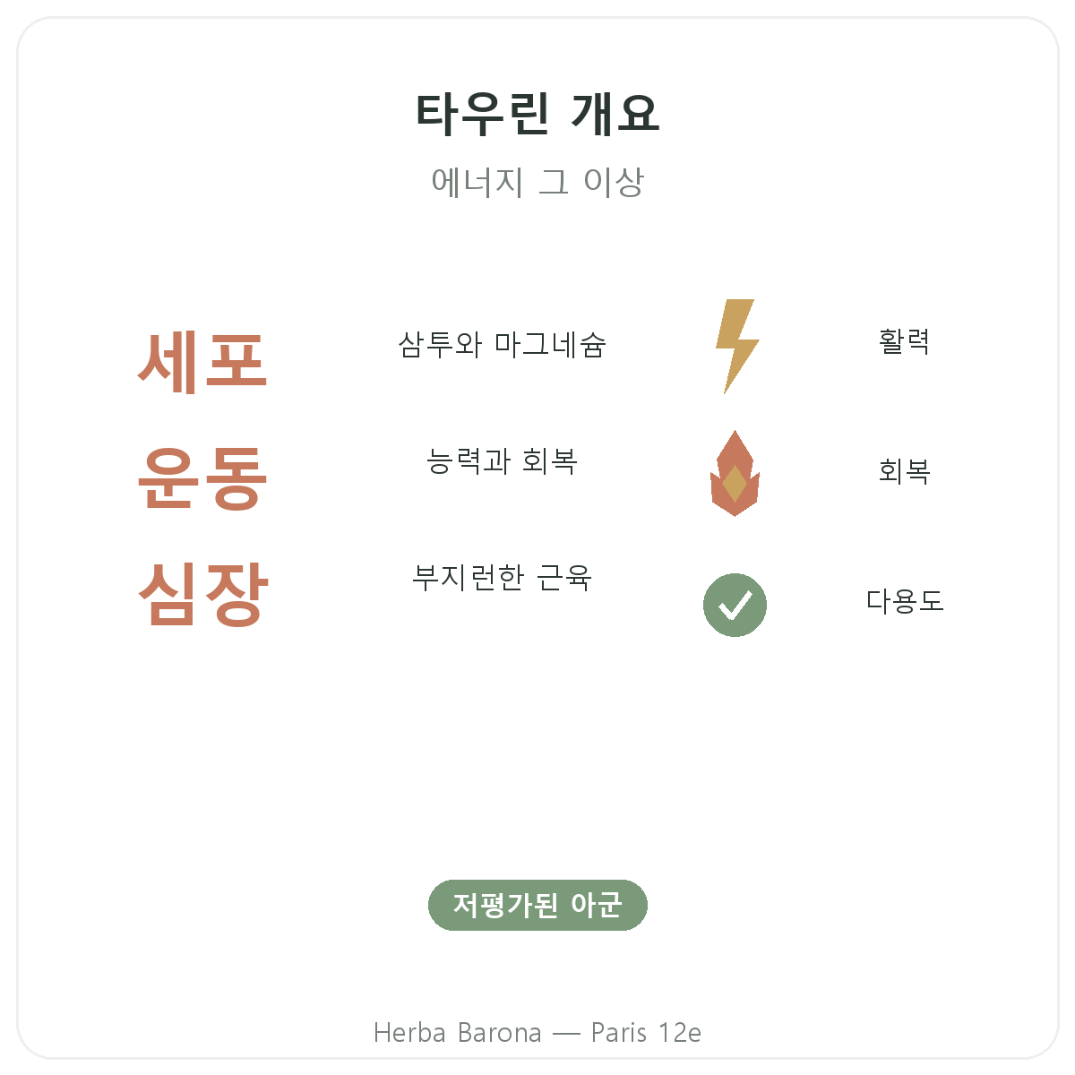 타우린 파리 - 주요 정보 요약 - Herba Barona 파리 12구