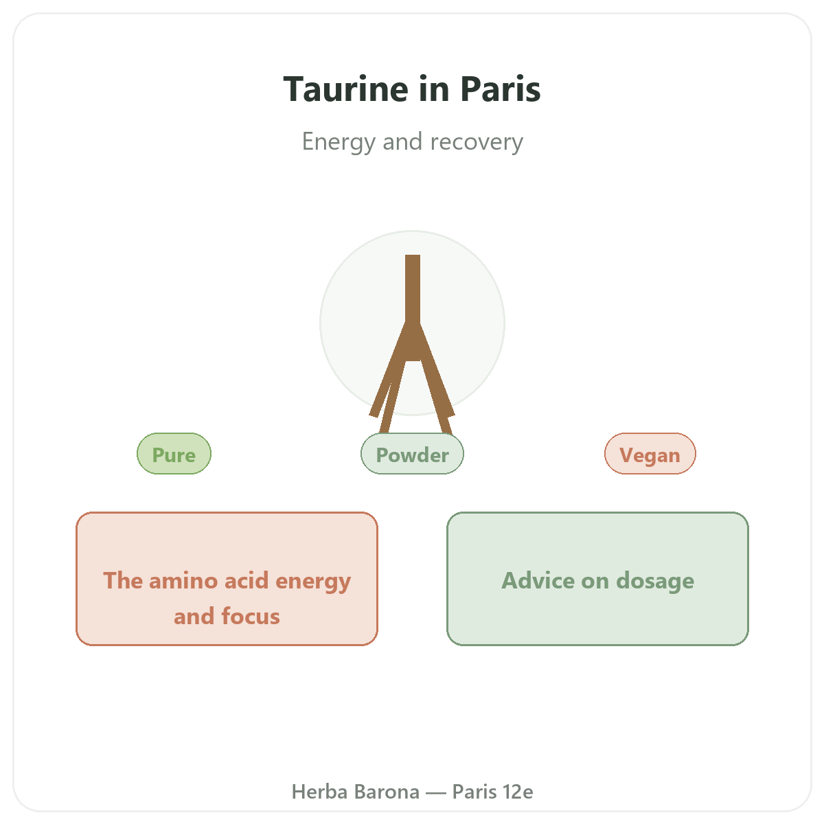 Taurine in Paris - overview at Herba Barona Paris 12e