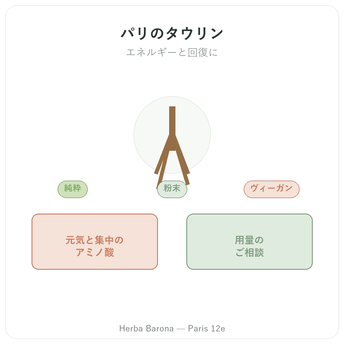 タウリン パリ - Herba Baronaのブランド紹介 パリ12区