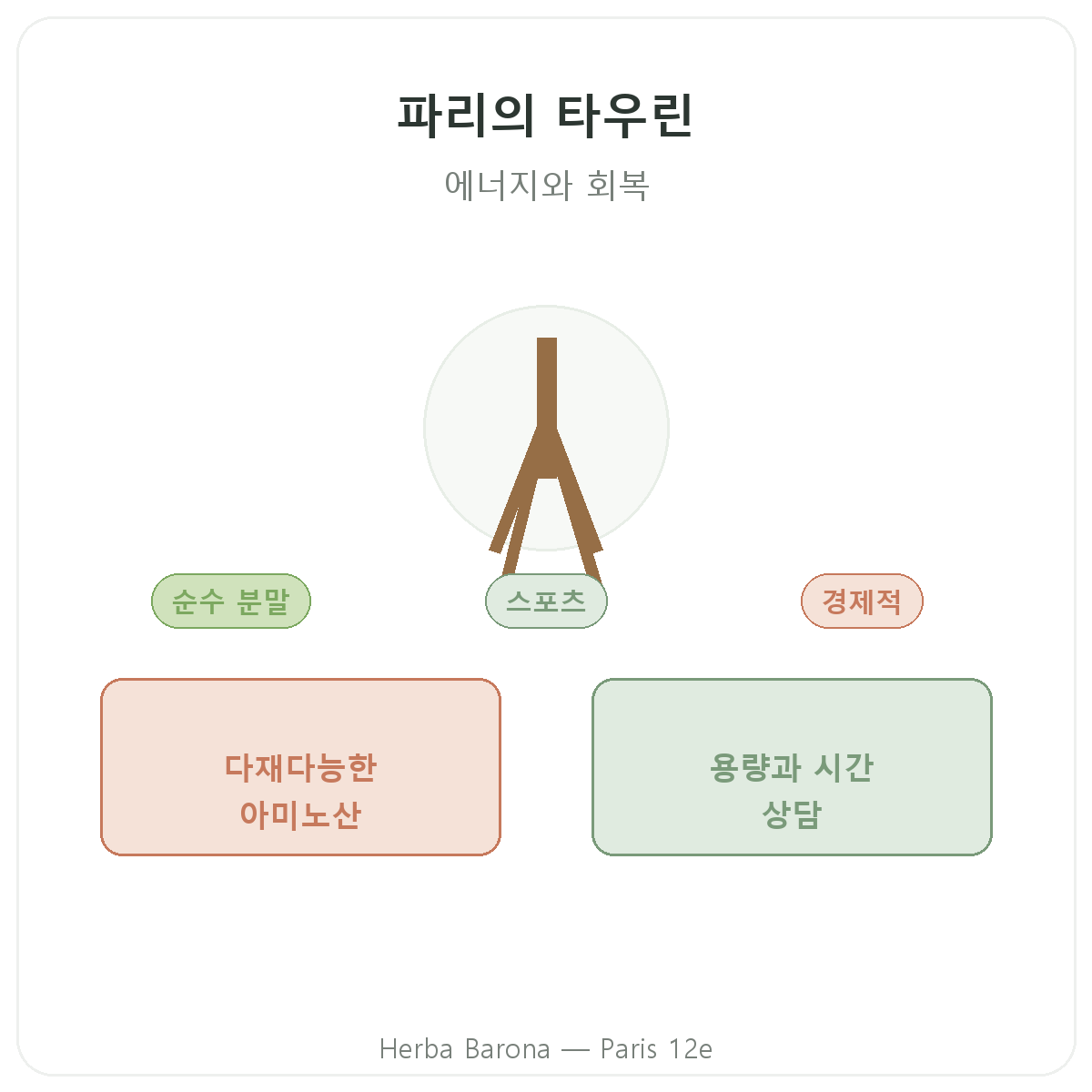 타우린 파리 - Herba Barona 파리 12구 브랜드 소개
