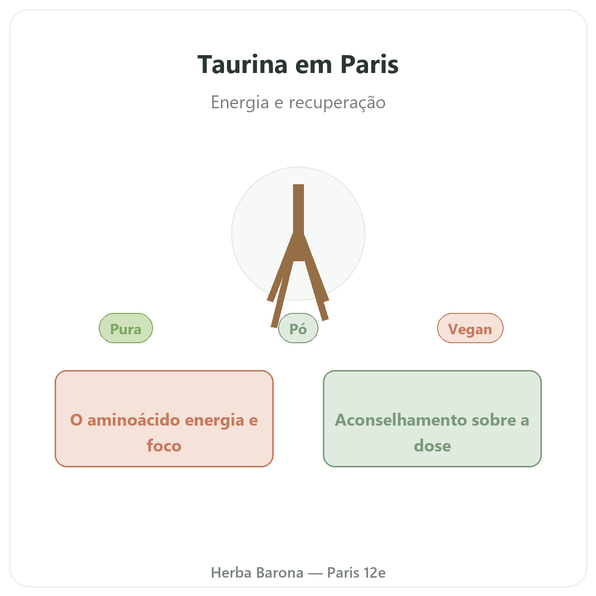 Taurina Paris Paris - apresentação da marca na Herba Barona Paris 12e