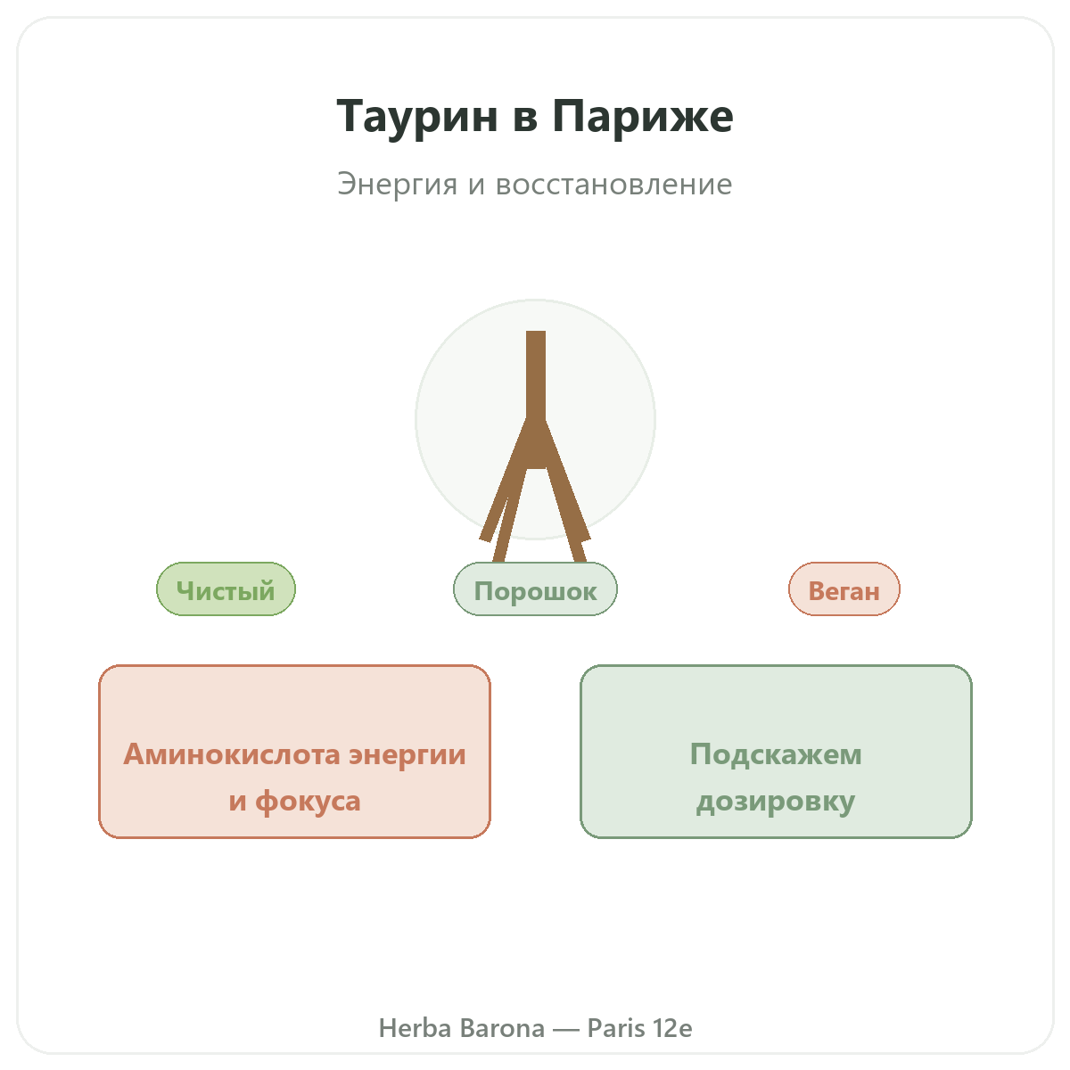 Taurine Париж Париж — презентация бренда в Herba Barona Париж, 12-й округ