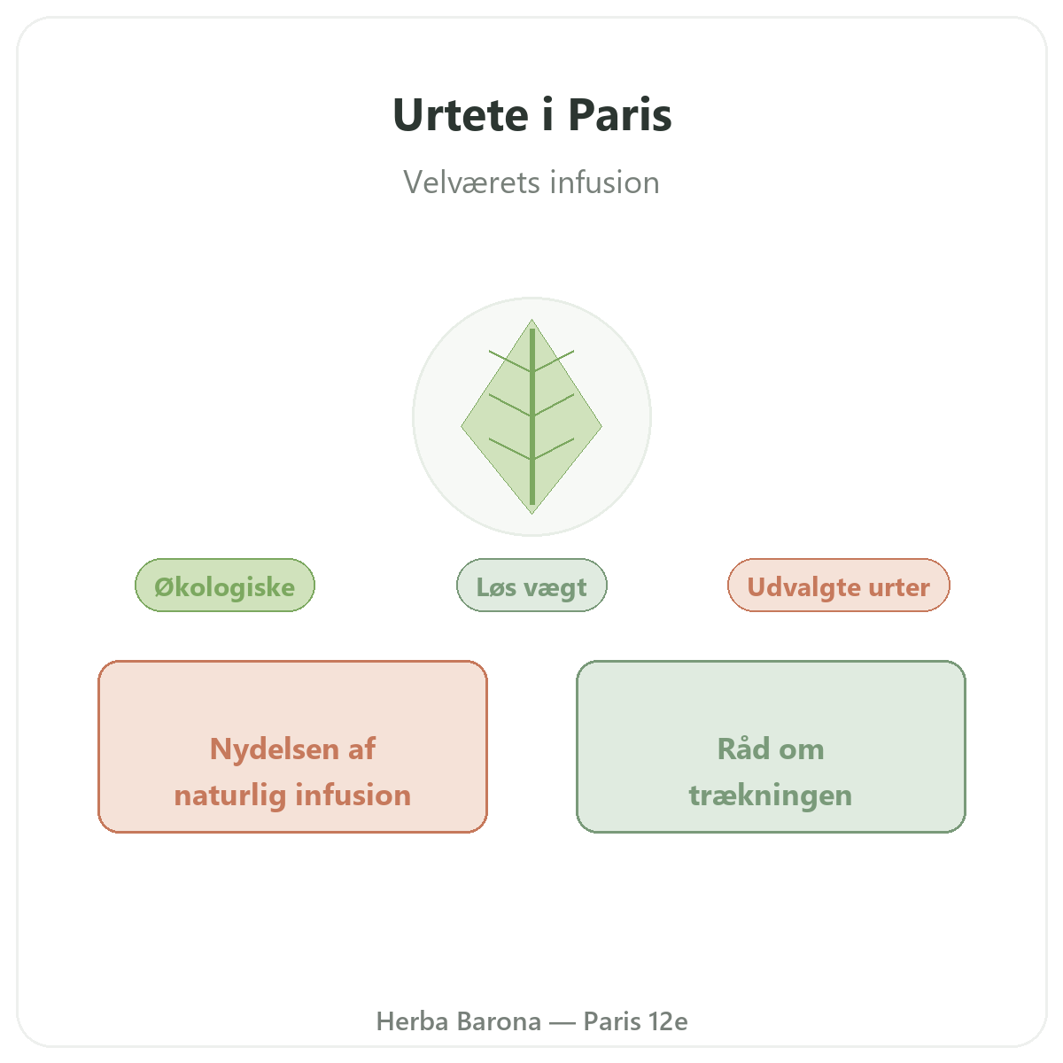 Planter til urtete Paris Paris - præsentation af mærket hos Herba Barona Paris 12