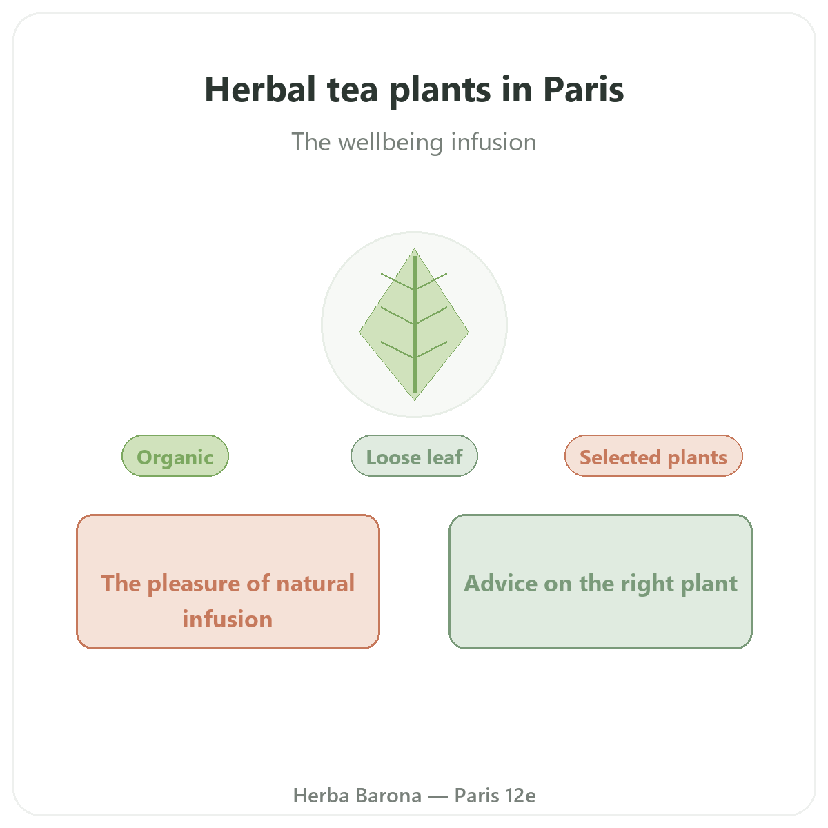 Herbal teas in Paris - brand overview at Herba Barona Paris 12th