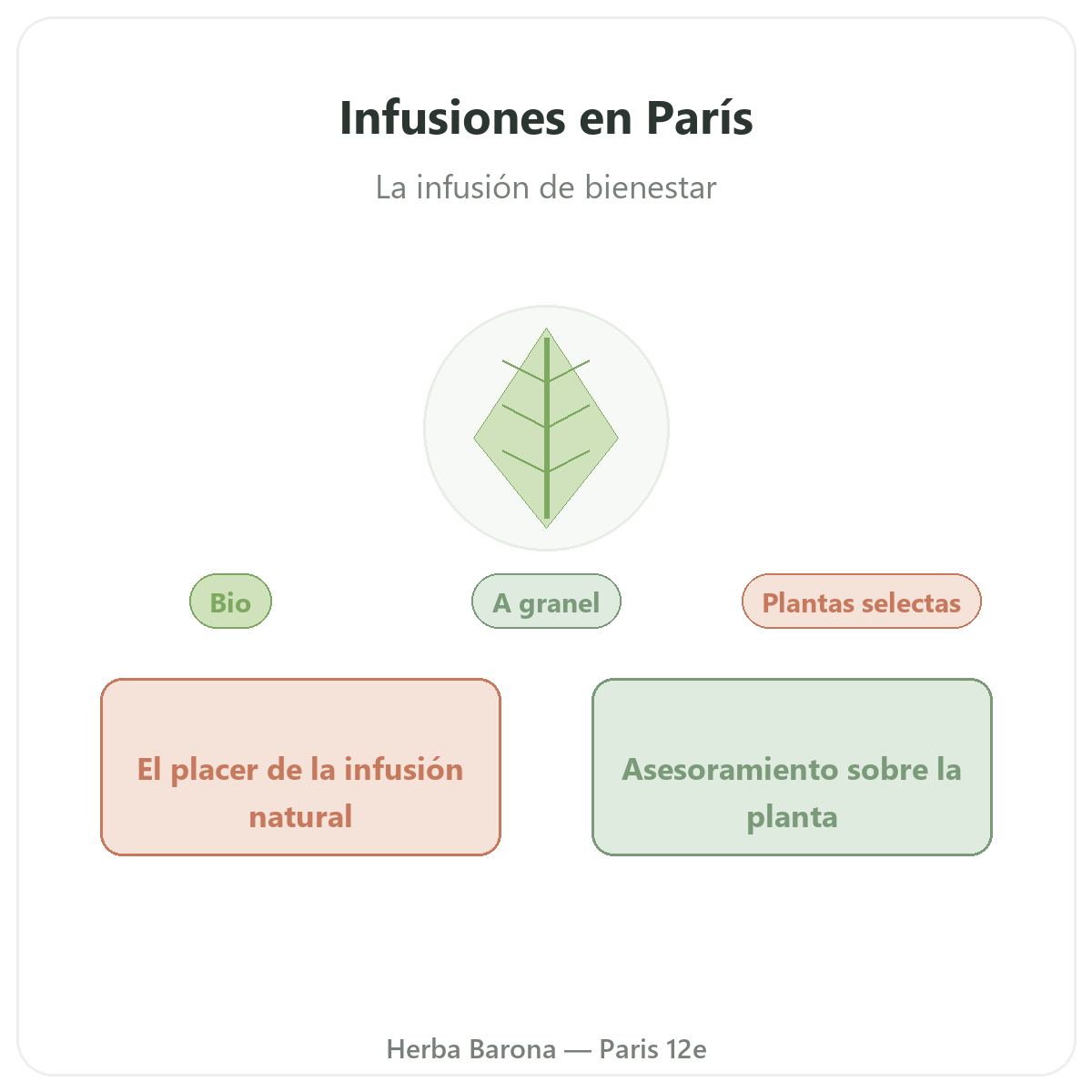 Plantas para infusiones París - presentación de la marca en Herba Barona París 12e
