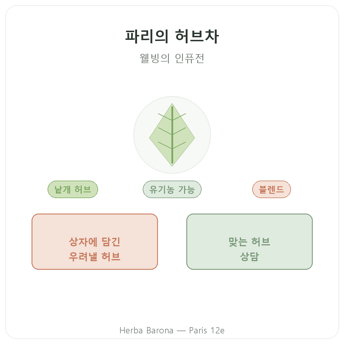 허브차용 식물 파리 파리 - Herba Barona 파리 12구 브랜드 소개