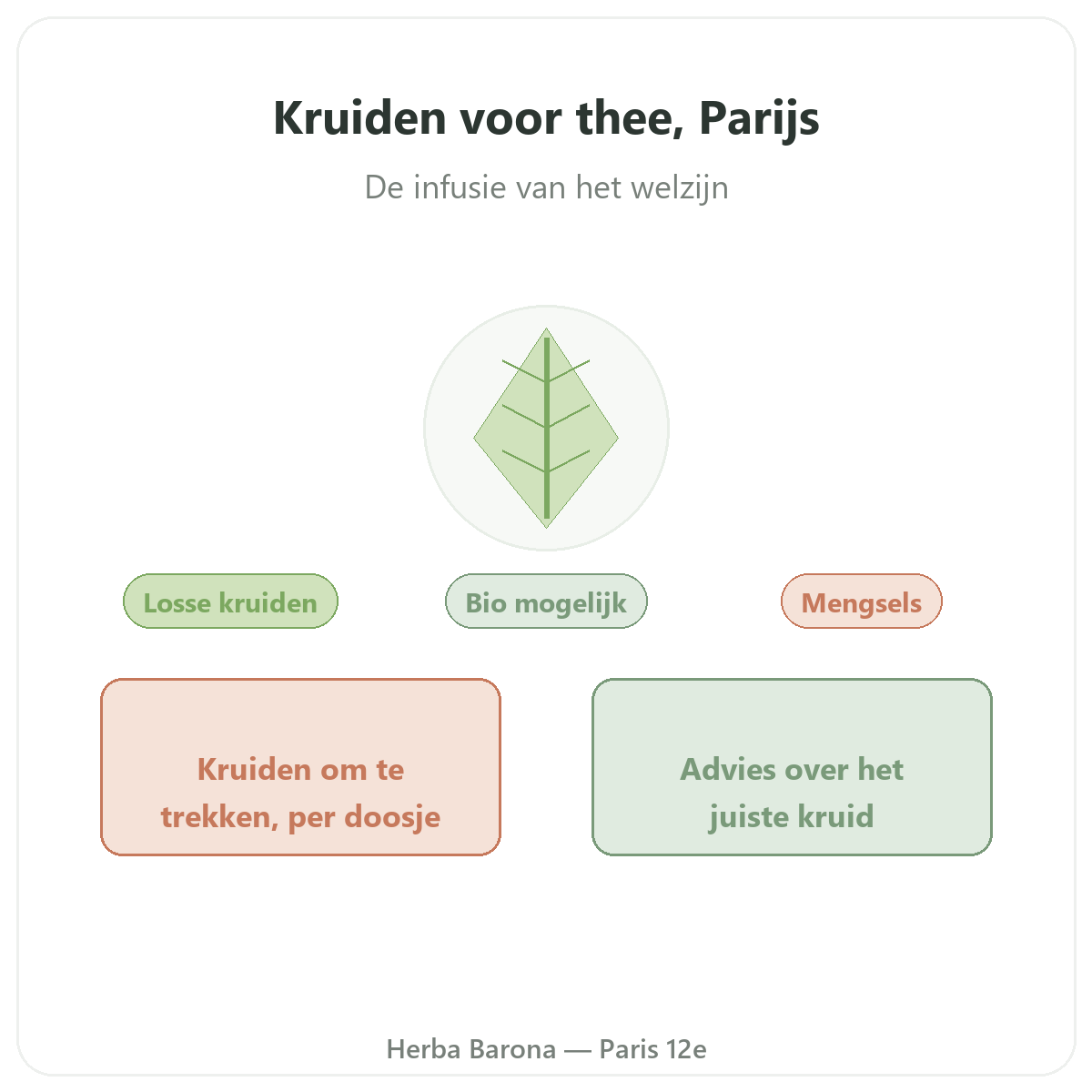 Plantes tisanes Paris Paris - presentation de la marque chez Herba Barona Paris 12e