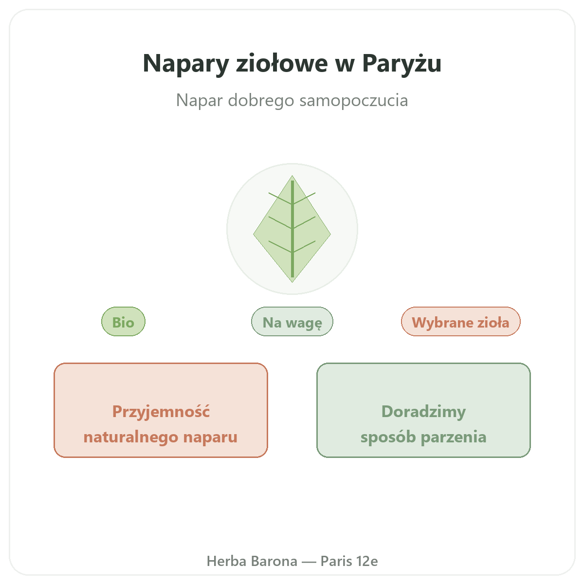 Zioła na herbatki Paryż – prezentacja marki w Herba Barona, Paryż 12