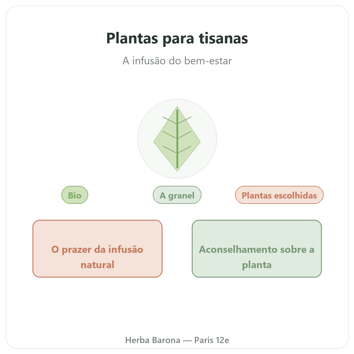 Plantas para infusões em Paris - apresentação da marca na Herba Barona Paris 12e