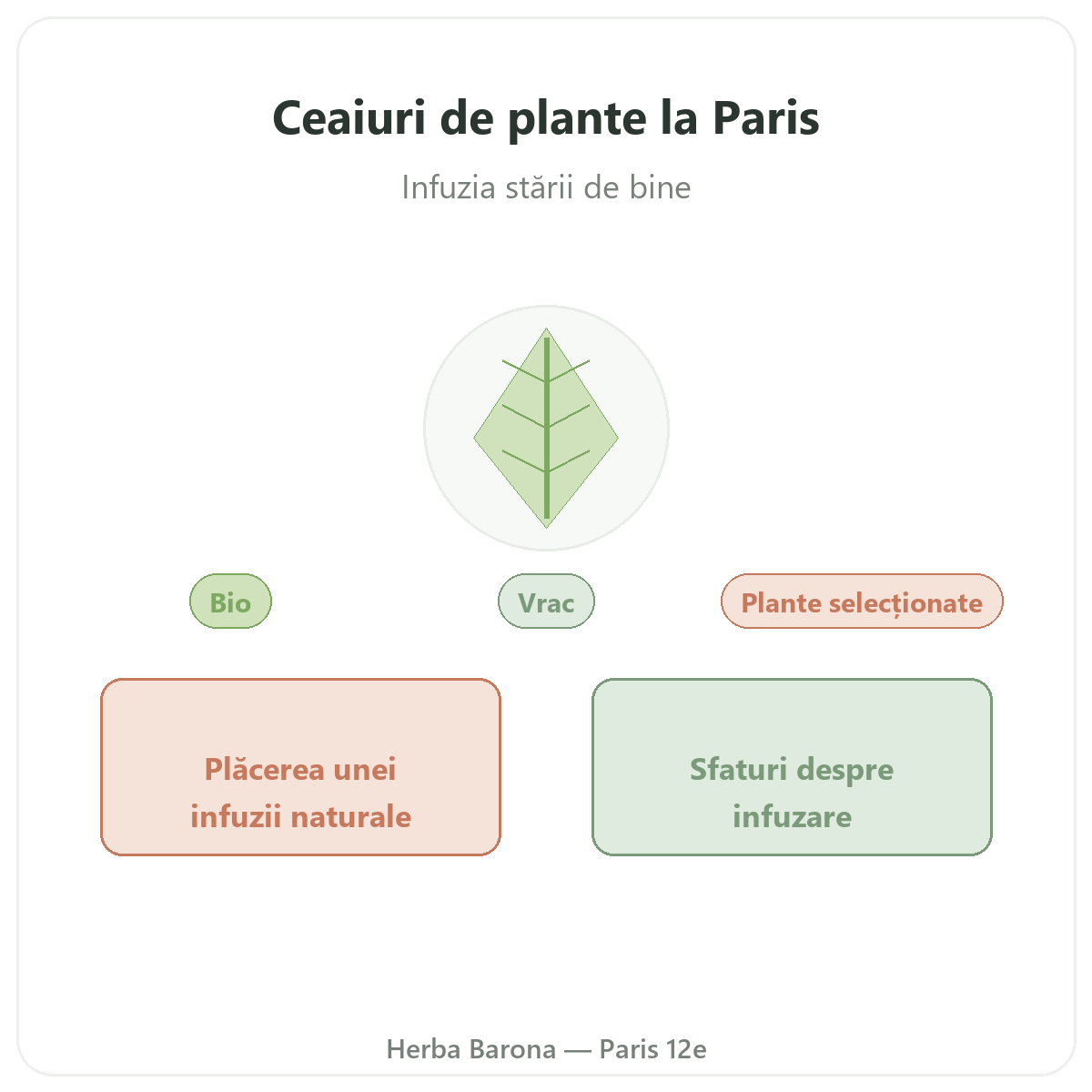 Plante pentru ceaiuri Paris - prezentarea brandului la Herba Barona Paris, arondismentul 12