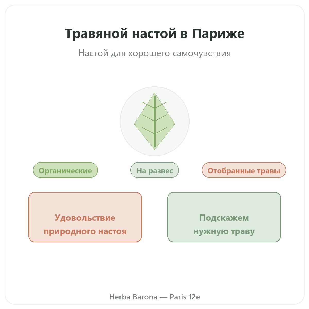 Растения для травяных чаёв Париж — презентация бренда в Herba Barona, Париж, 12-й округ