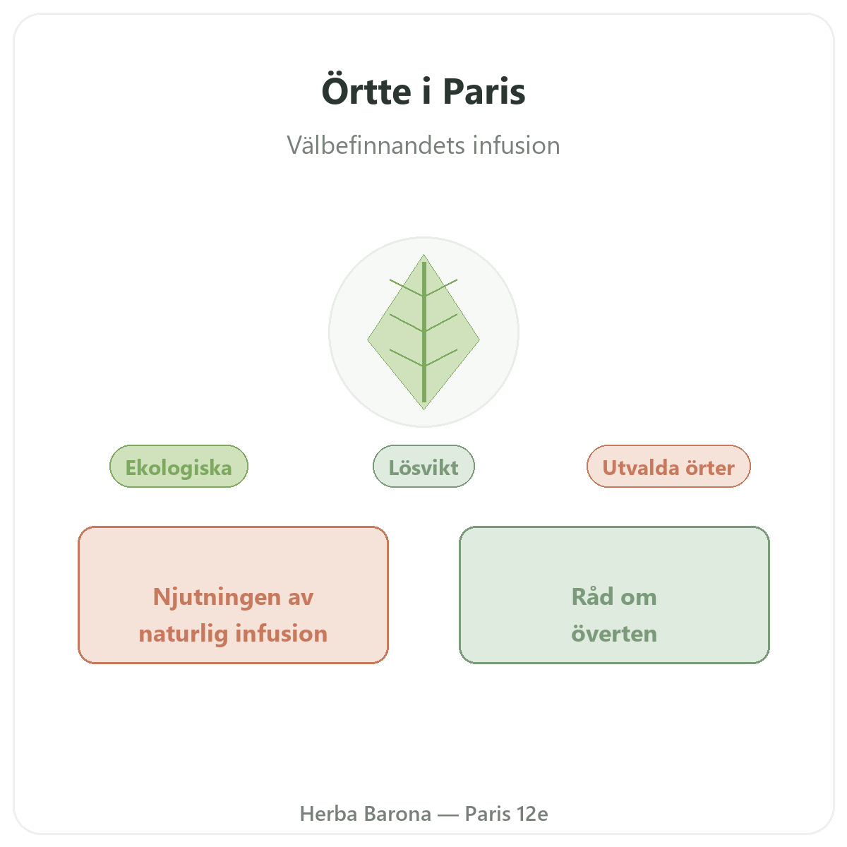 Växter för örtte Paris - presentation av varumärket hos Herba Barona Paris 12e