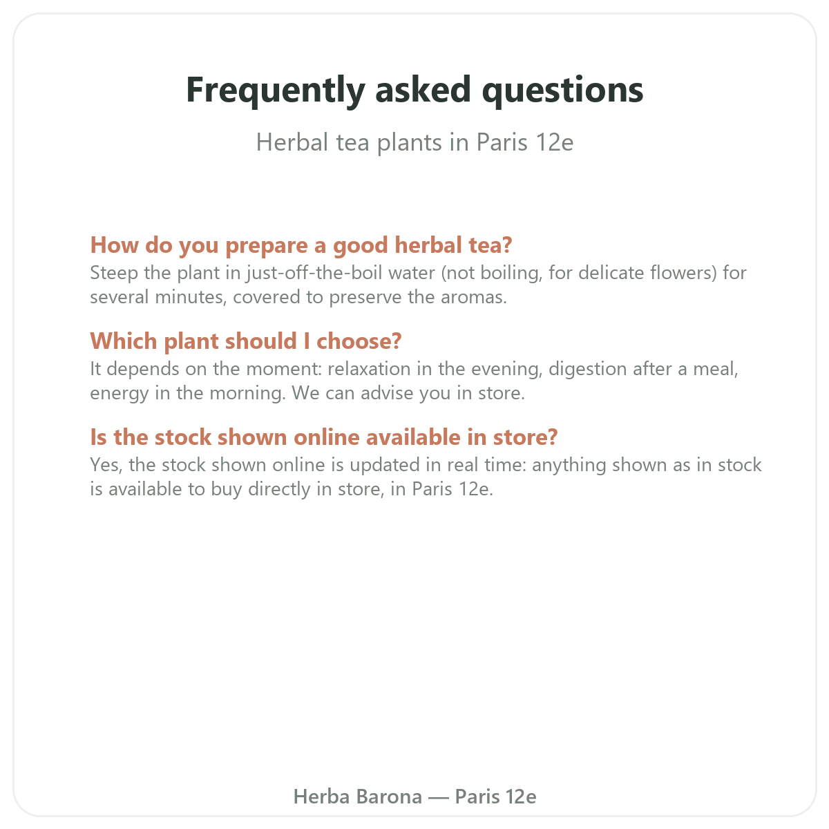 Frequently asked questions about herbal teas in Paris - Herba Barona Paris 12th