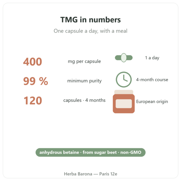 TMG Trimethylglycine – Dynveo – 400 mg – 120 capsules key figures Paris Herba Barona