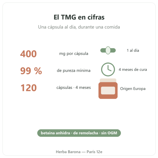 TMG Trimetilglicina – Dynveo – 400 mg – 120 cápsulas cifras clave Paris Herba Barona