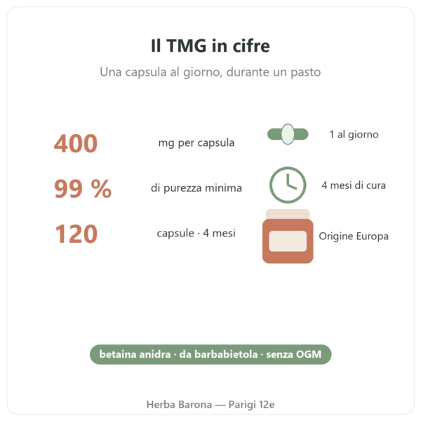 TMG Trimetilglicina – Dynveo – 400 mg – 120 capsule dati chiave Paris Herba Barona