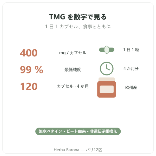 TMG トリメチルグリシン – Dynveo – 400 mg – 120 カプセル 主要データ Paris Herba Barona