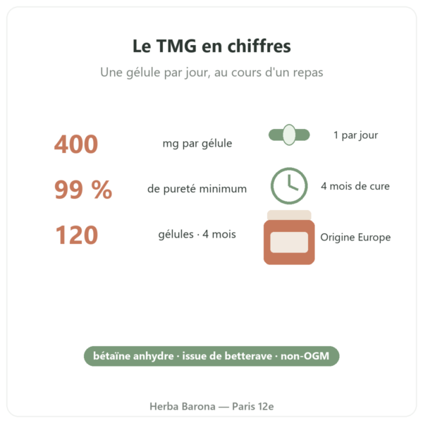 TMG Trimethylglycine Dynveo 400 mg 120 gelules chiffres cles Paris Herba Barona