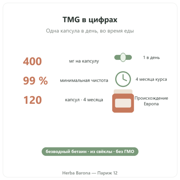 TMG Триметилглицин – Dynveo – 400 мг – 120 капсул ключевые цифры Paris Herba Barona