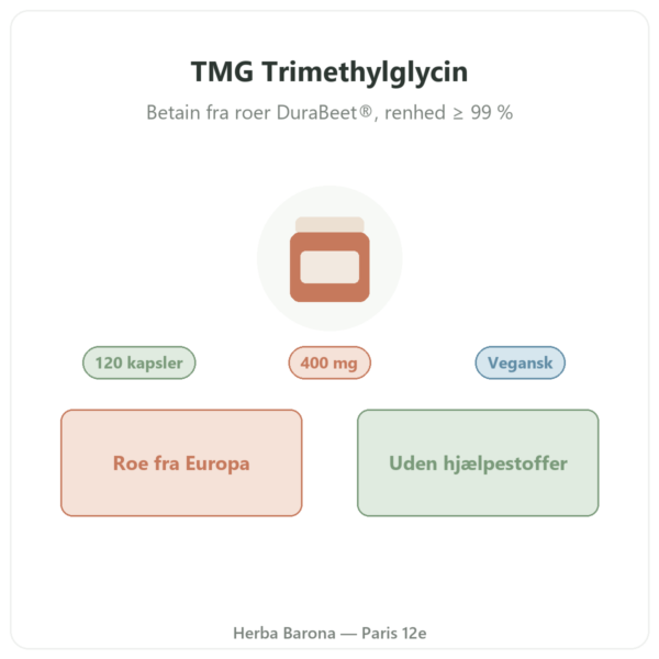 TMG Trimethylglycin – Dynveo – 400 mg – 120 kapsler præsentation Paris Herba Barona