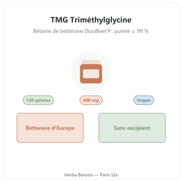 TMG Trimethylglycine Dynveo 400 mg 120 gelules presentation Paris Herba Barona