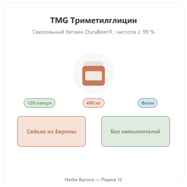 TMG Триметилглицин – Dynveo – 400 мг – 120 капсул презентация Paris Herba Barona