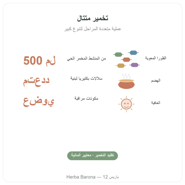 تونيك عضوي Multi-Impuls® (500مل) – Jarmino الفوائد والمعطيات الرئيسية Paris Herba Barona
