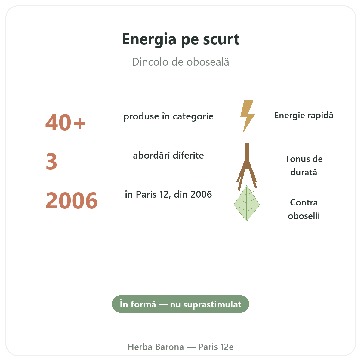Tonus vitalitate energie Paris pe scurt - cifre cheie la Herba Barona Paris, arondismentul 12