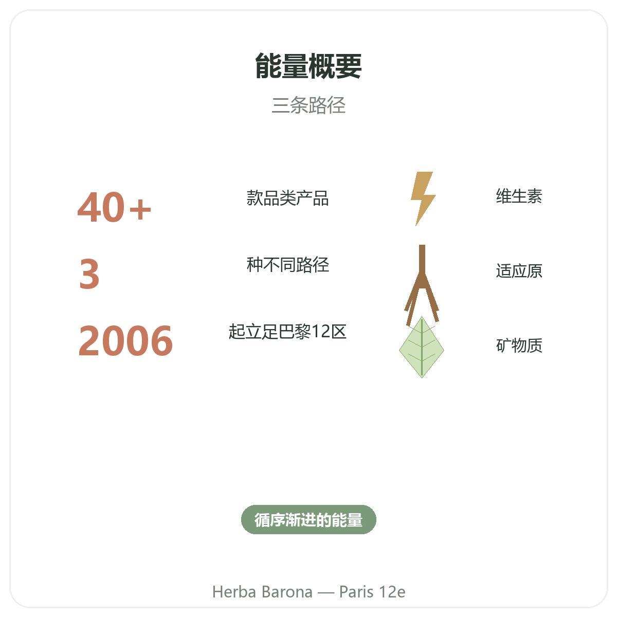 活力元气能量 巴黎概览 - Herba Barona Paris 12e 关键数据