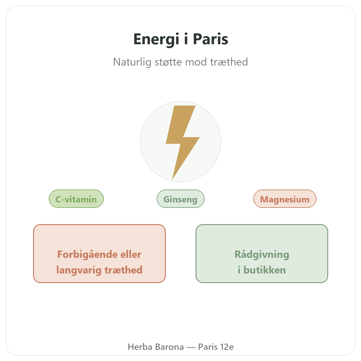 Tonus, vitalitet og energi i Paris - præsentation hos Herba Barona Paris 12