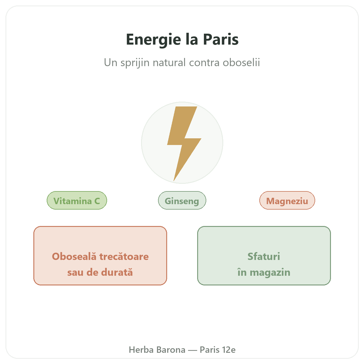 Tonus vitalitate energie Paris - prezentarea mărcii la Herba Barona Paris, arondismentul 12