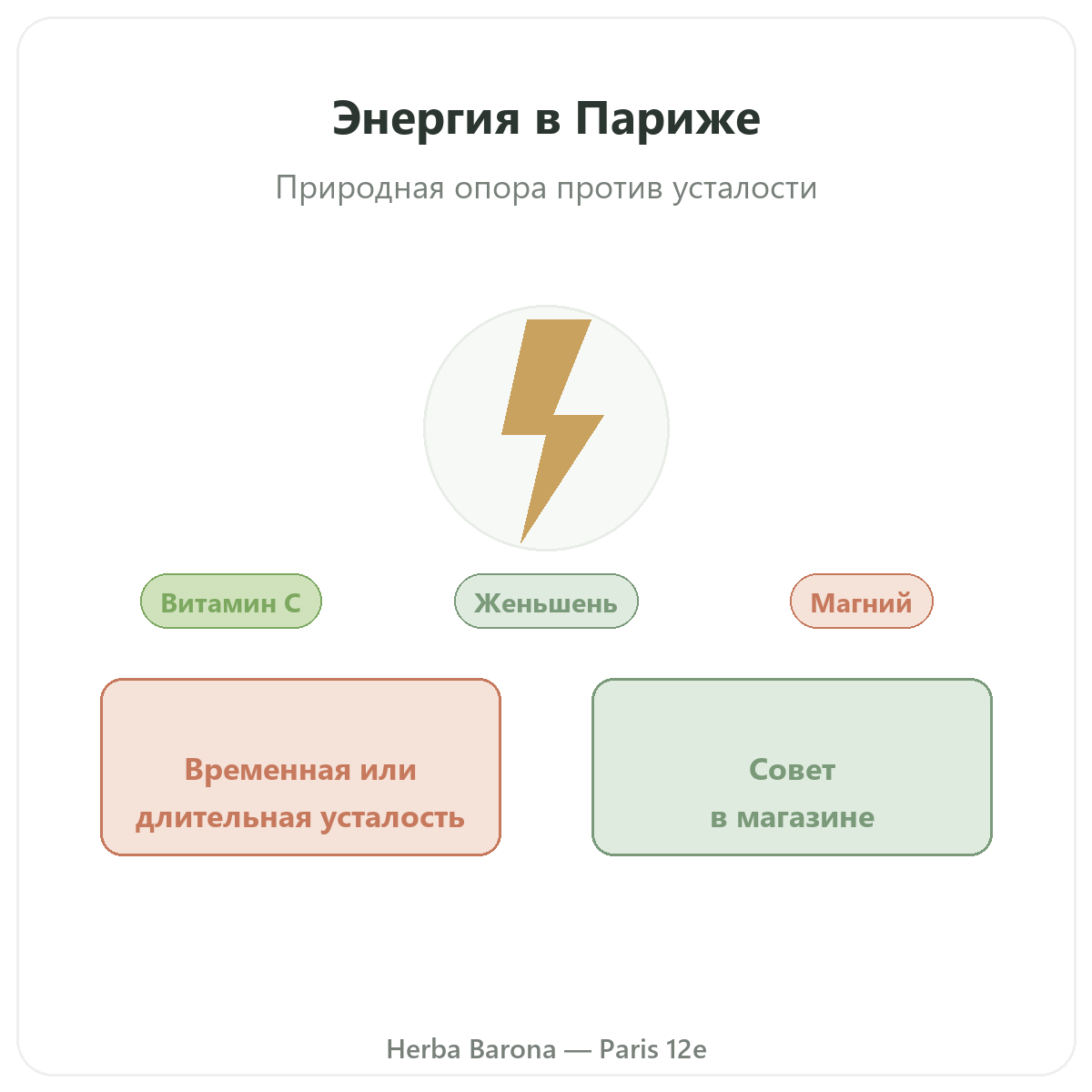 Тонус, жизненная сила и энергия в Париже — презентация в Herba Barona Париж, 12-й округ