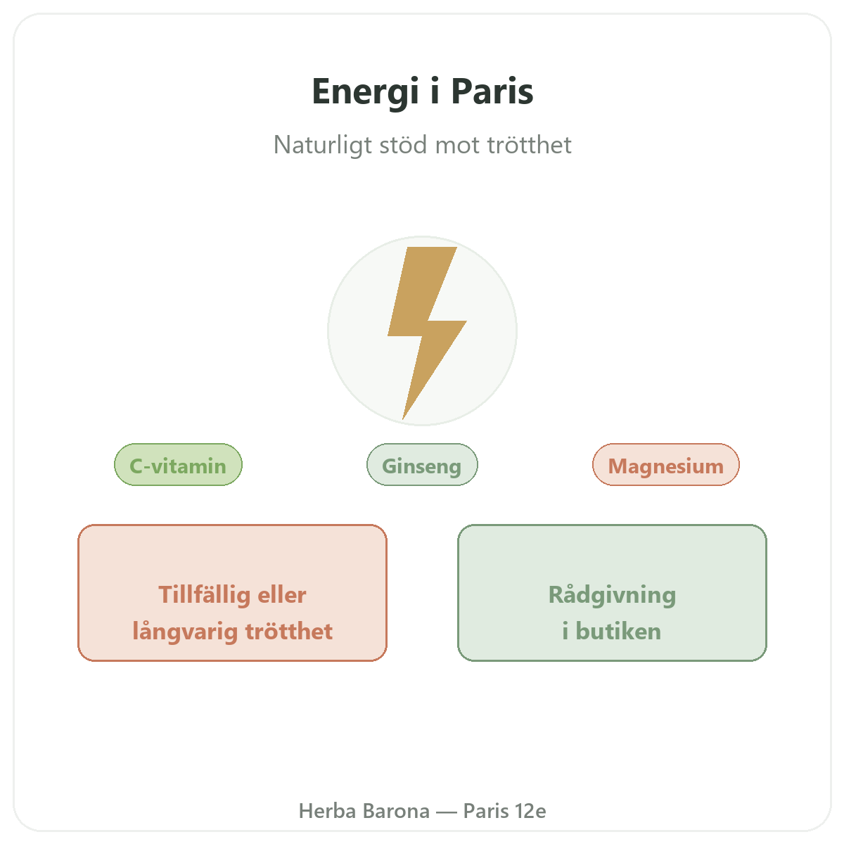 Energi, vitalitet Paris – presentation av varumärket hos Herba Barona Paris 12e