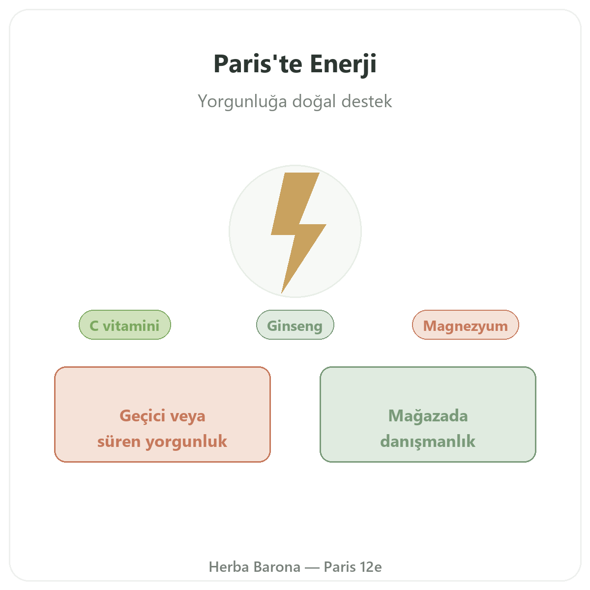 Paris Tonus Canlılık Enerji - Herba Barona Paris 12. bölgede marka tanıtımı