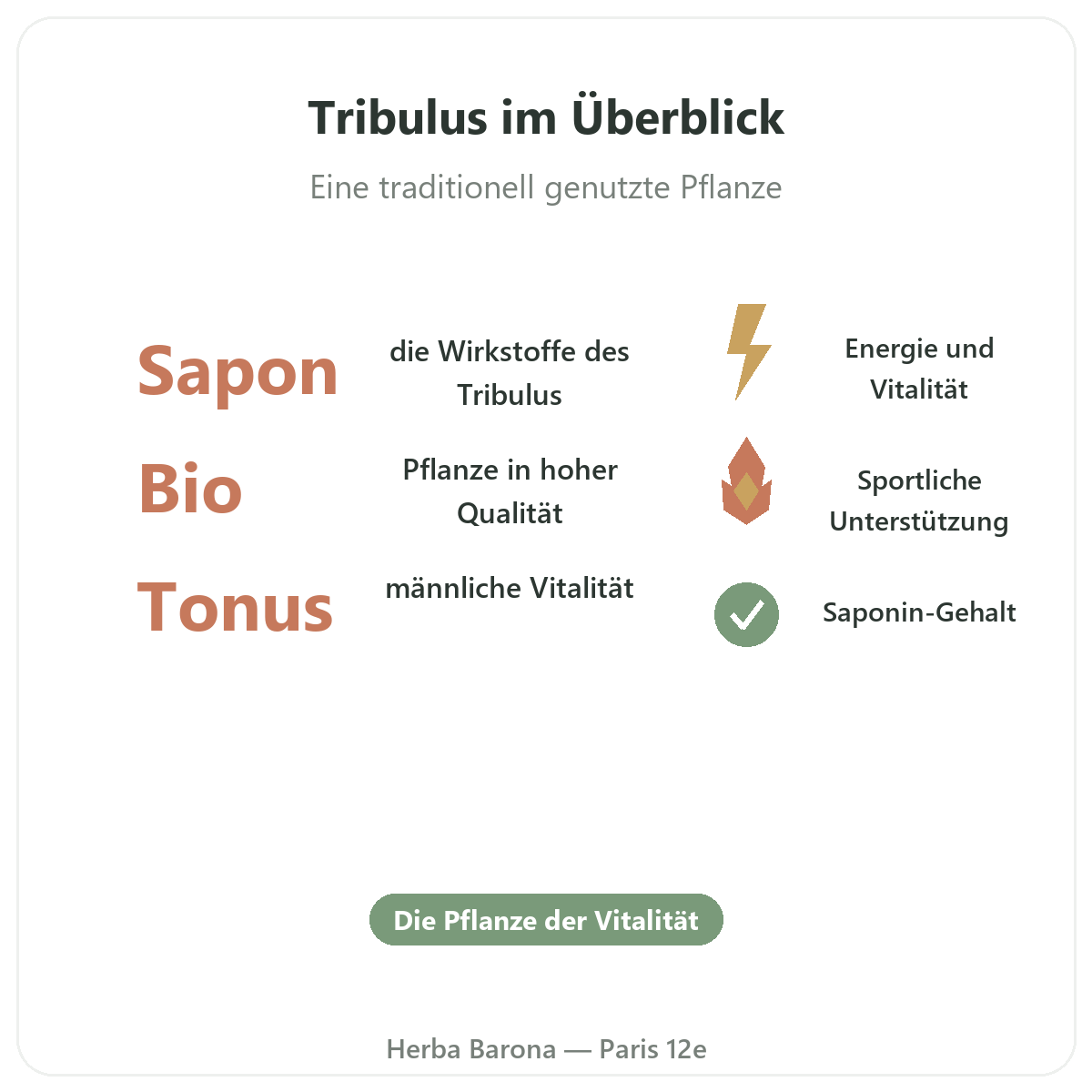 Tribulus Paris auf einen Blick - Kennzahlen bei Herba Barona Paris 12e