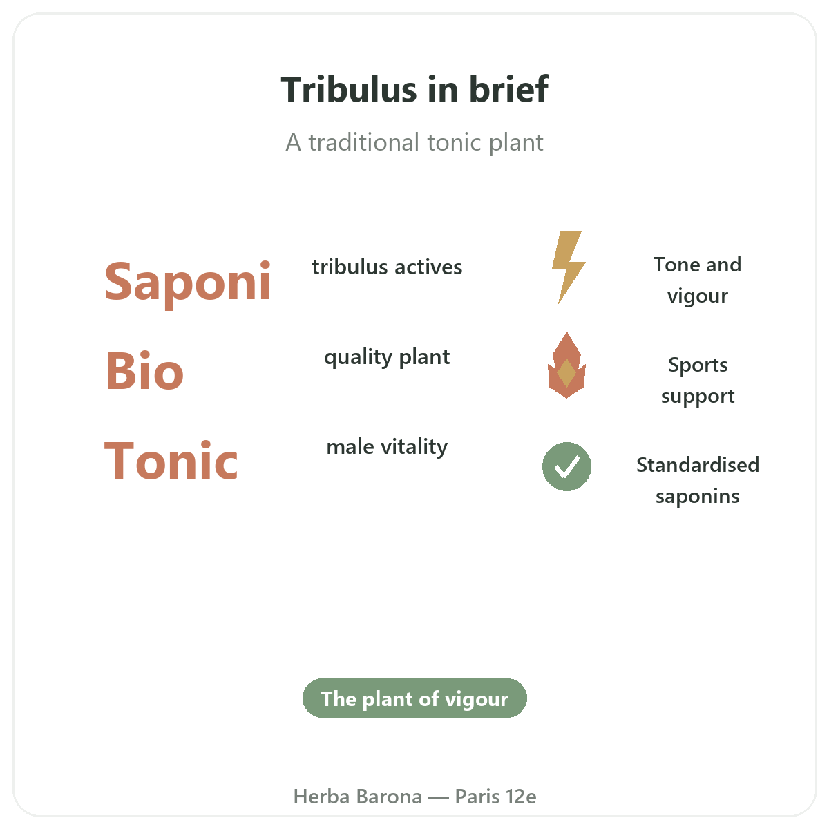 Tribulus in Paris at a glance - key facts at Herba Barona Paris 12th