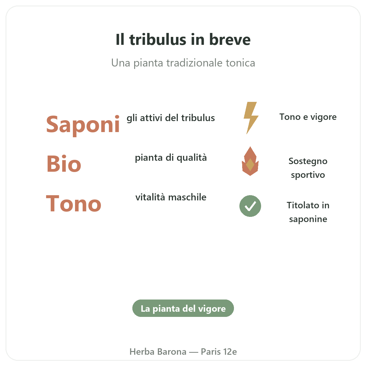 Tribulus Parigi Parigi in breve - cifre chiave da Herba Barona Parigi 12e