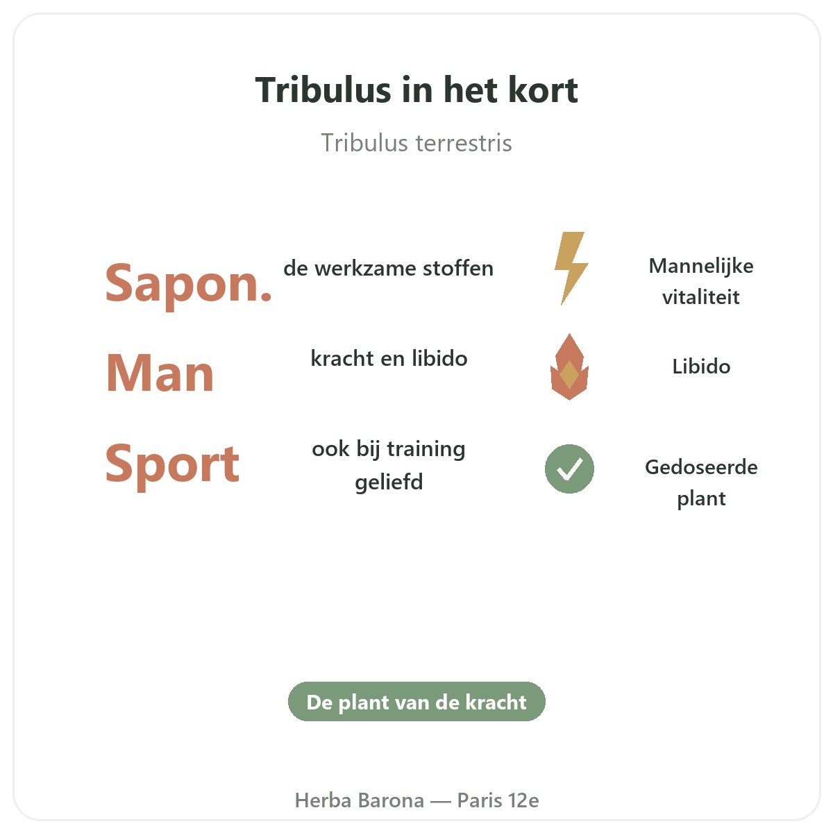 Tribulus Parijs in het kort - kerncijfers bij Herba Barona Parijs 12e