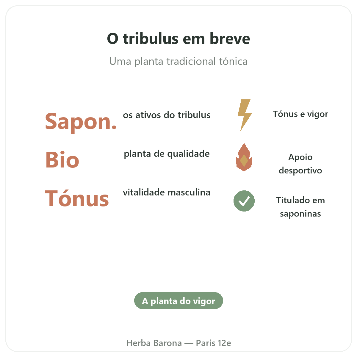 Tribulus Paris Paris em resumo - números-chave na Herba Barona Paris 12e