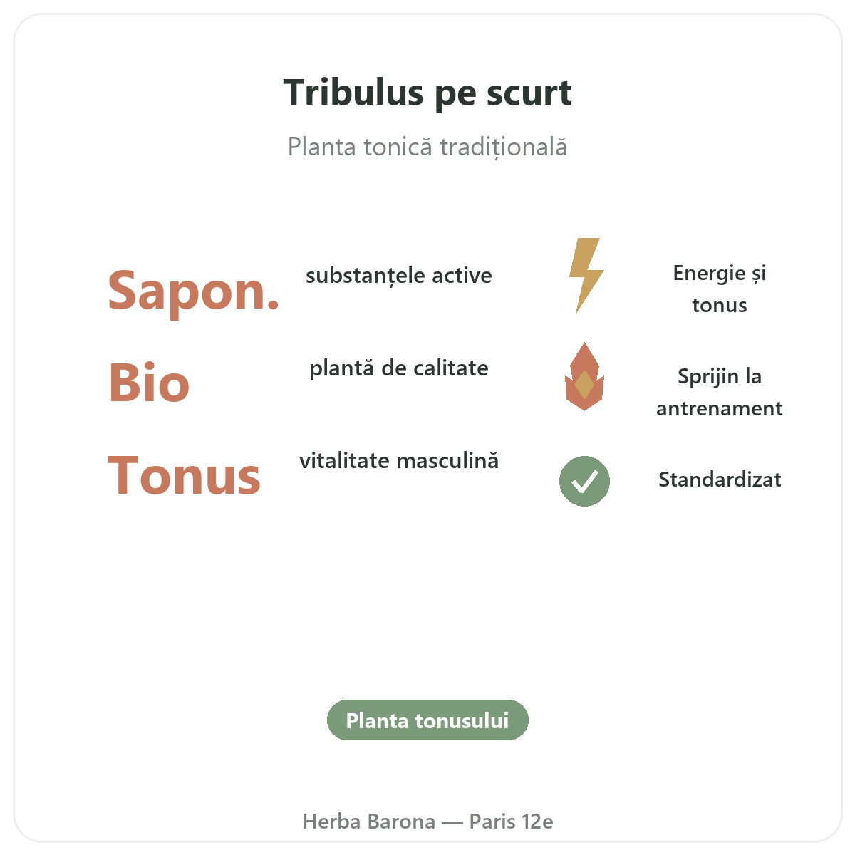 Tribulus Paris pe scurt - cifre cheie la Herba Barona Paris arondismentul 12