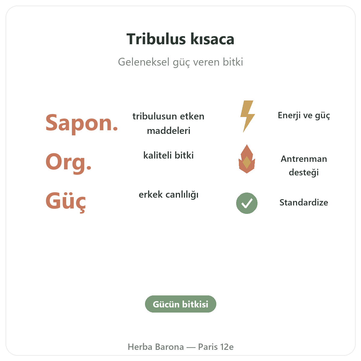 Tribulus Paris özet - Herba Barona Paris 12. bölgede önemli rakamlar