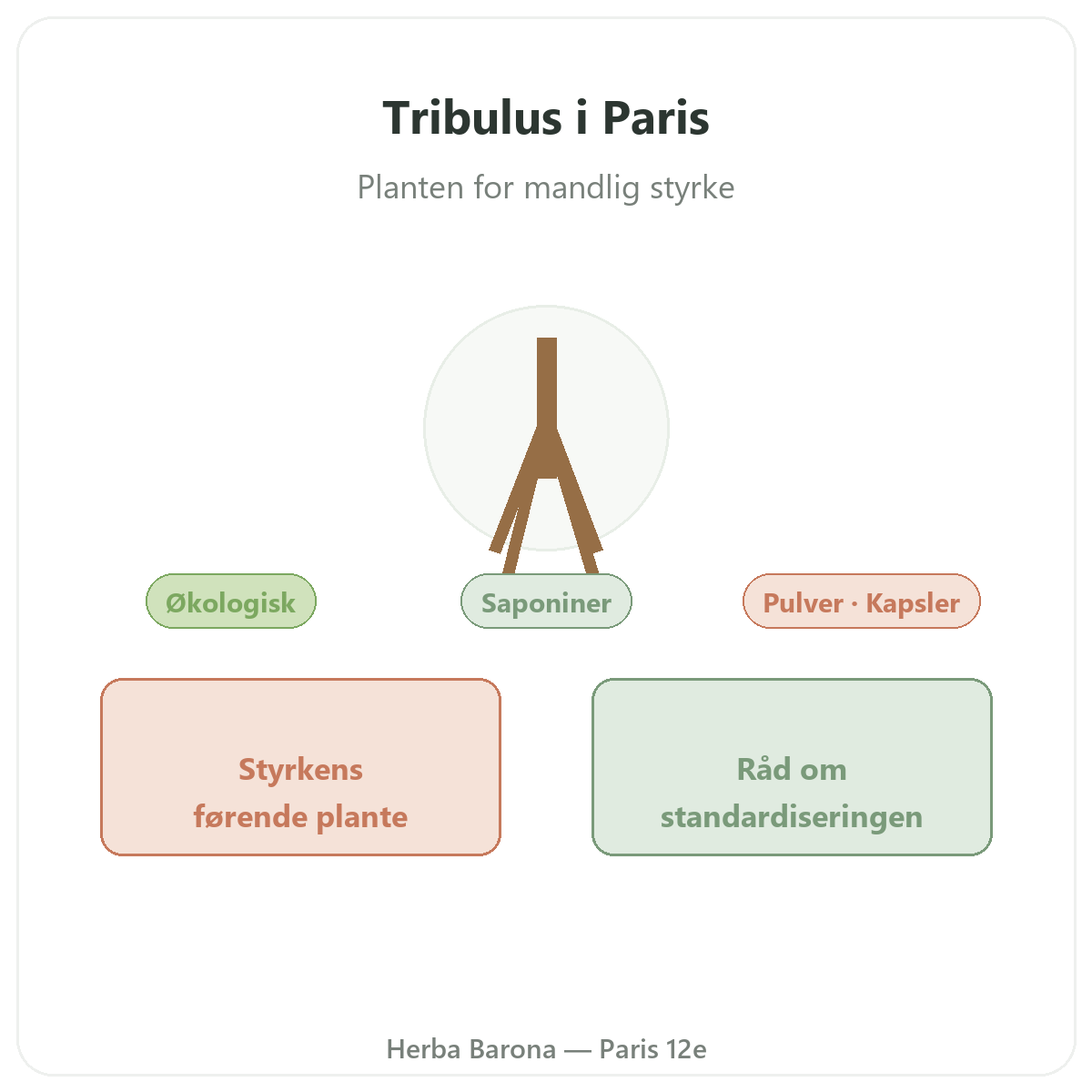 Tribulus Paris - præsentation af mærket hos Herba Barona Paris 12