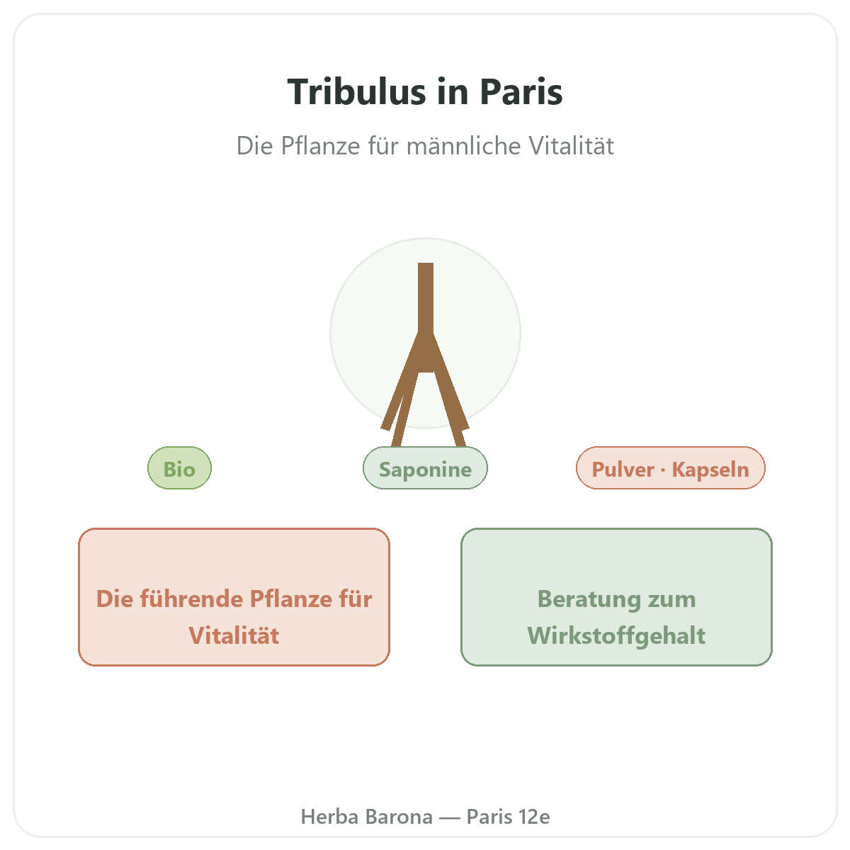 Tribulus Paris - Markenvorstellung bei Herba Barona Paris 12e