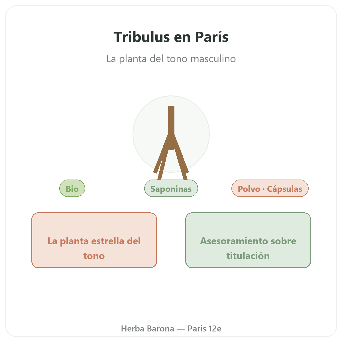 Tribulus en París - presentación de la marca en Herba Barona París 12e