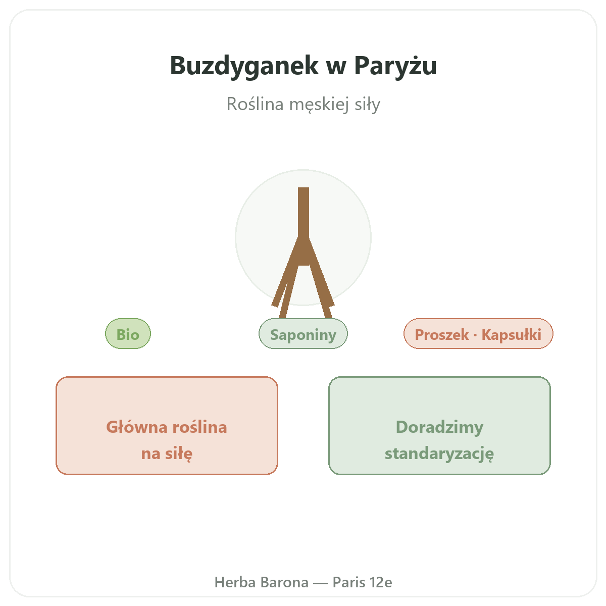 Tribulus - prezentacja marki w Herba Barona Paryż